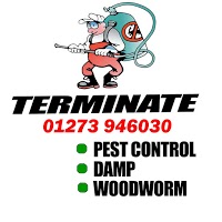 Terminate Pest Control Brighton 373576 Image 3
